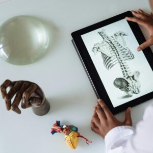 CURSO DE ANATOMÍA