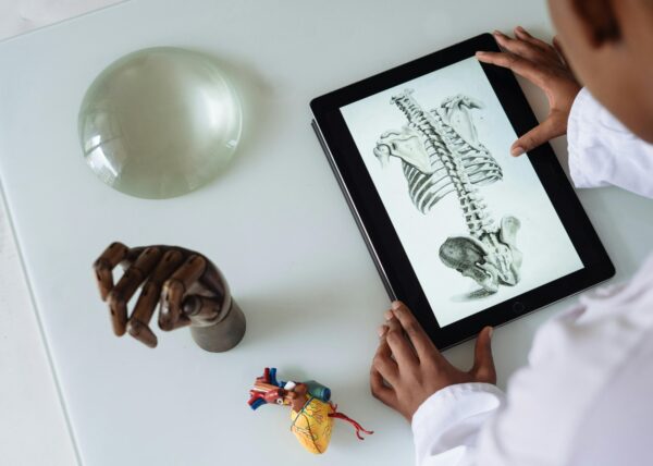 CURSO DE ANATOMÍA