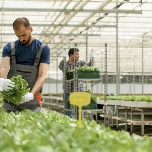 CURSO DE AUXILIAR AGRÓNOMO! Y AUXILIAR EN PRODUCCIÓN AGRÍCOLA
