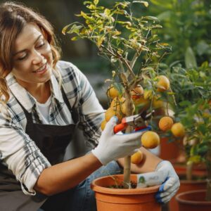 AUXILIAR SUPERIOR EN AGRICULTURA URBANA