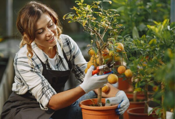 AUXILIAR SUPERIOR EN AGRICULTURA URBANA